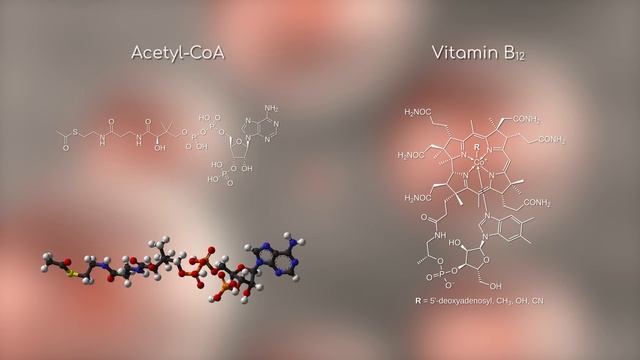 Meet LUCA - the Bizarre First Living Organism on Earth смотреть онлайн