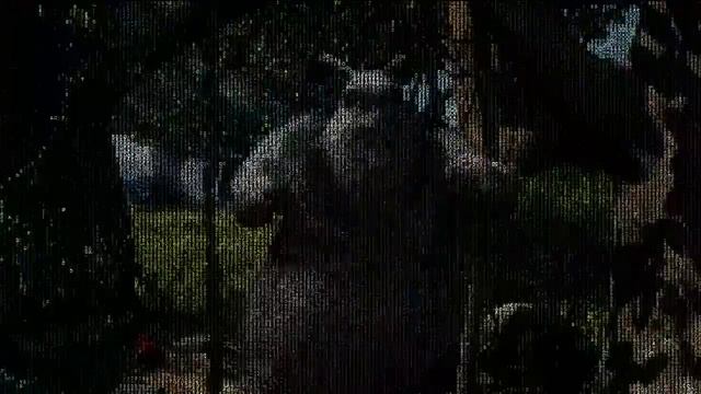 Ascii Art Video Effect Filter (color) смотреть онлайн