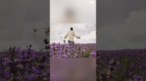 когда Сердце Цветёт, 
всё вокруг зацветает 
СВЕТ ВЫСШЕЙ МИЛОСТИ