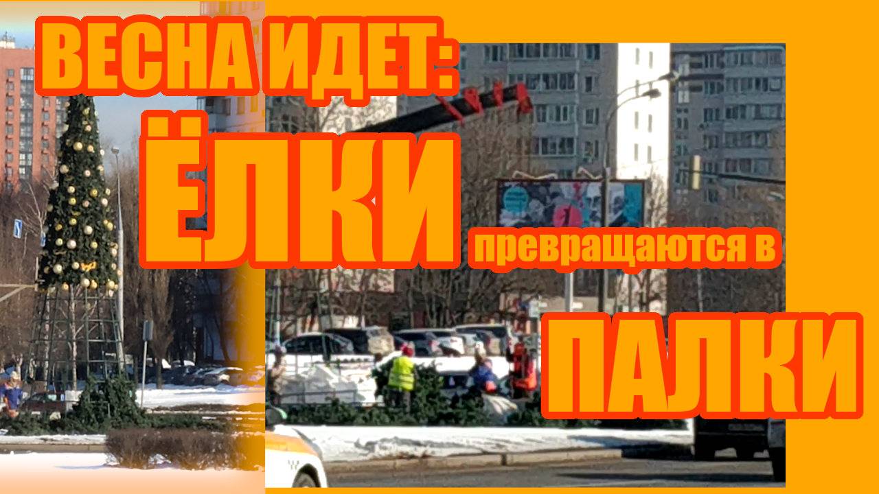 Весна идет! Елки превращаются в палки)))
