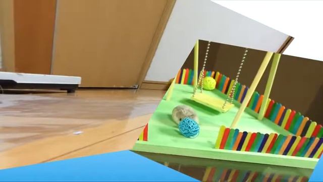 3D ROTATION!!! Parrot and hamster DUO смотреть онлайн