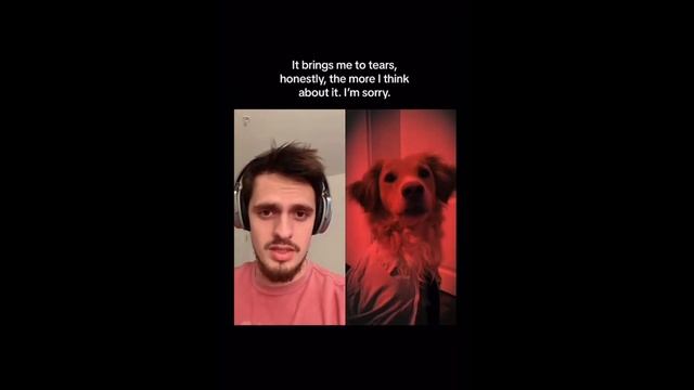 the cast of epic the musical out of context (and other chaos) смотреть онлайн