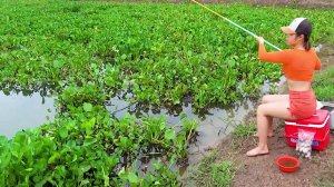 Красивая Девушка ловит рыбу Женщины деревни сталкиваются с гигантскими окунями