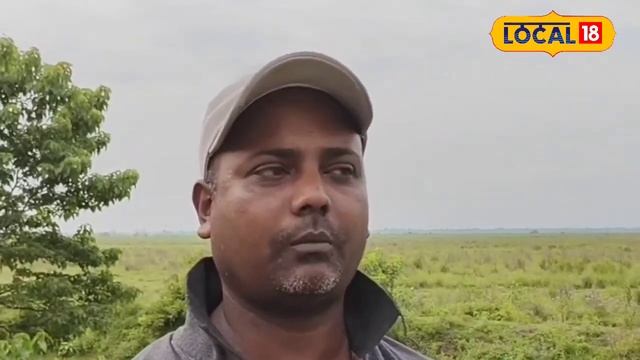 Kaziranga National Park | আজিৰে পৰা বন্ধ বিশ্ব ঐতিহ্যক্ষেত্ৰ কাজিৰঙা ৰাষ্ট্ৰীয় উদ্যান | #local18 смотреть онлайн