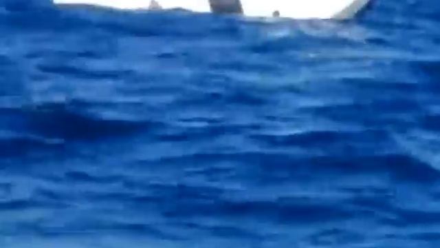 Black Marlin Sinks Fishing Boat In Panama.