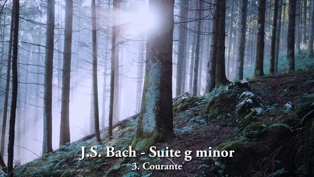 J.S. Bach - Suite g minor (BWV995) - Courante, Daniel Rubin - Guitar смотреть онлайн