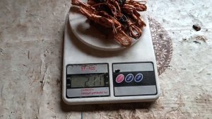 РАЗОБОР ХЛАМА НА ЦВЕТМЕТ! МЕДЬ, ЛАТУНЬ! ПОИСК МЕТАЛА! ПОИСК МЕДИ! ДОБЫВАЮ МЕДЬ!