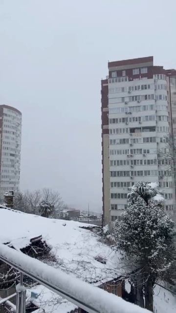 снег в Сочи смотреть онлайн