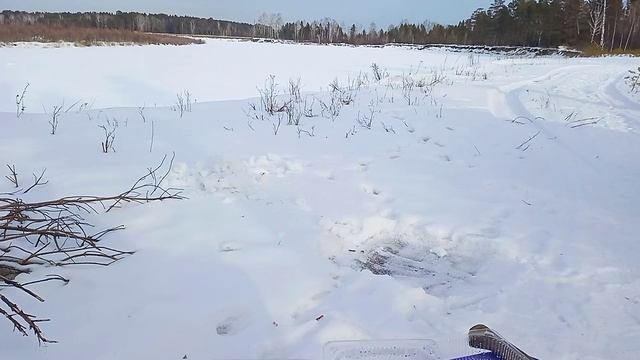 Выезд в зимний лес на Бегемоте.