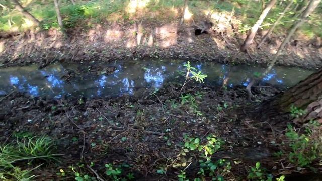 Checking In On The Beaver Dams At The Ponds & In Beaver Dam Creek! || Have They Rebuilt Any!? смотреть онлайн