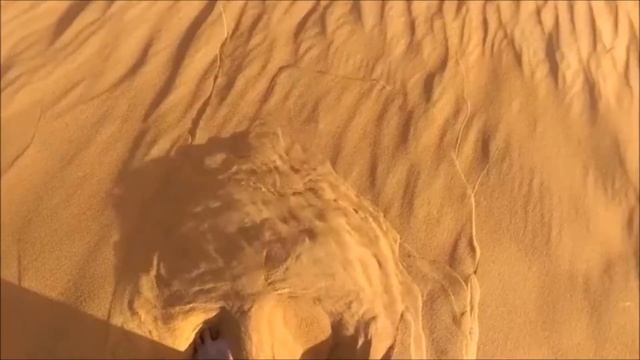 Liquefaction of Sand Particles on a Dune смотреть онлайн
