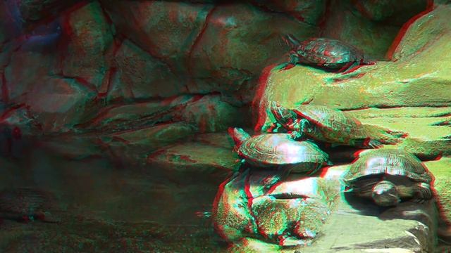Черепахи в 3D