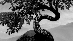 The Lonely Tree