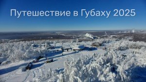 Губаха 2025