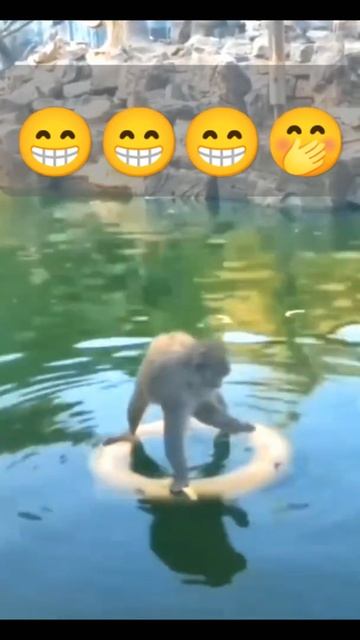 Baby Shaka Laka Boom Boom🤭😁😁😜