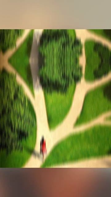 Принцип Трансерфинга Реальности #shorts #трансерфинг #шортс #зеланд