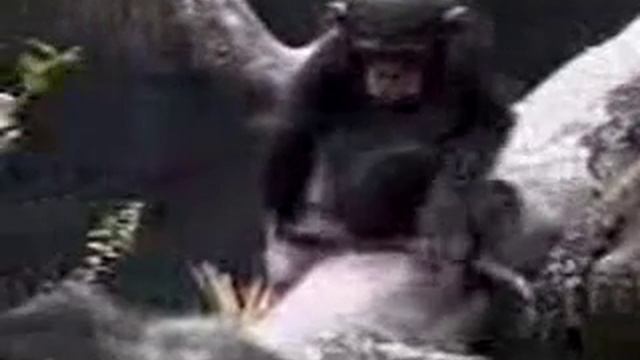 СЕРГЕЙ_68_рус.