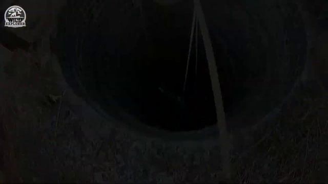 Sloth Bear Rescued From 35ft Deep Dried Well