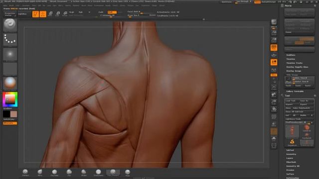 ZBrush tutorial: Anatomy sculpt - muscle striations смотреть онлайн
