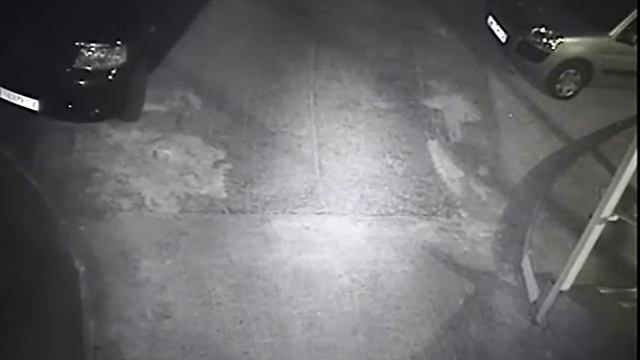 Кража Gary Fisher Kaitai и Bergamont Sponsor    (Bike Theft)