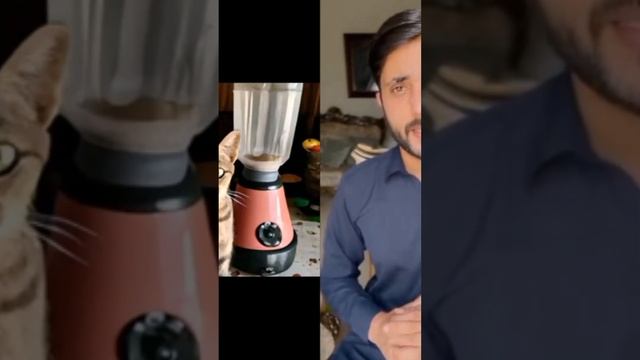cat blender video viral😭😼😿 #cats #foryou #trending #youtubeshorts #youtuber смотреть онлайн