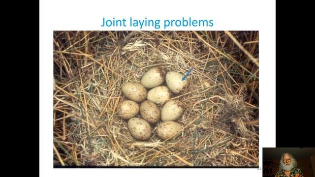 Online Lecture - Cooperative breeders are not always cooperative (Dr. Jim Quinn) - Part 2 смотреть онлайн