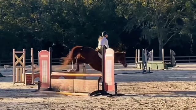 Jumping Attila over the TP jump 🍁 it’s finally getting cool in FL смотреть онлайн