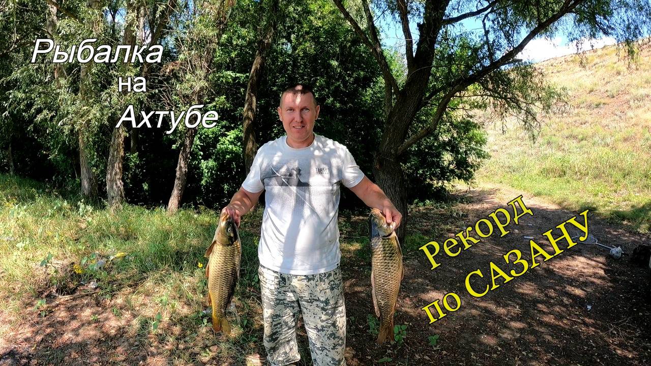 Утренняя рыбалка на САЗАНА. Установил свой личный рекорд по сазану. смотреть онлайн