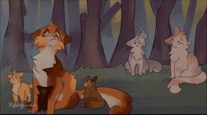 мап коты воители