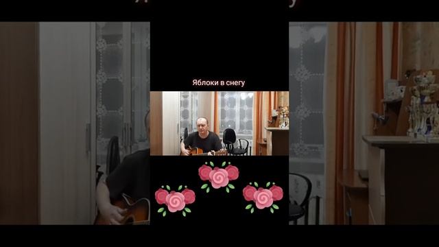 Яблоки в снегу Автор и исполнитель: Владимир Курочкин смотреть онлайн