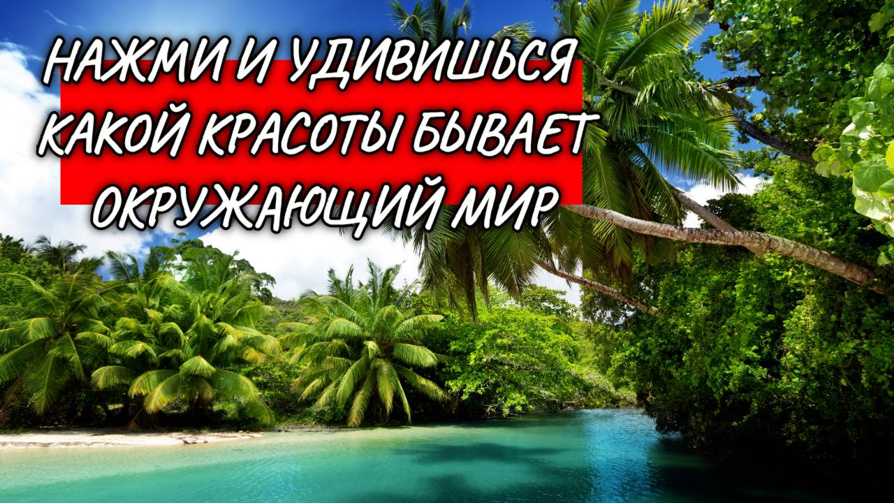 КРАСИВАЯ ПРИРОДА. КРАСИВОЕ ВИДЕО. БЕЗ ЗВУКА.
