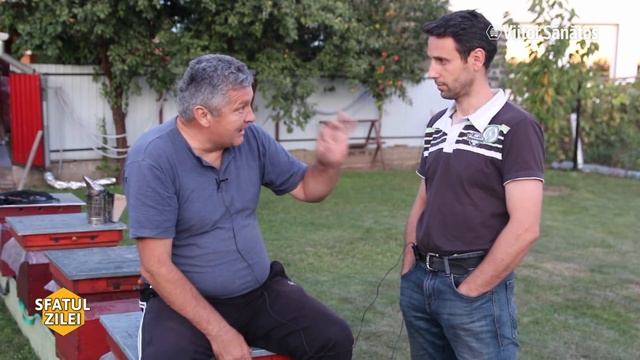 Cum Aplicam Corect TRATAMENTUL CU AMITRAZ [Sfatul Zilei]