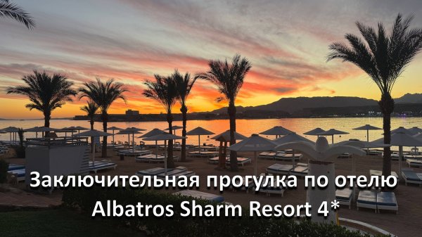 Последняя прогулка по отелю Albatros Sharm Resort 4*