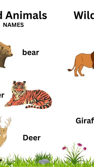 Wild Animals Names in English #wildanimals #jungle #englishgrammar смотреть онлайн