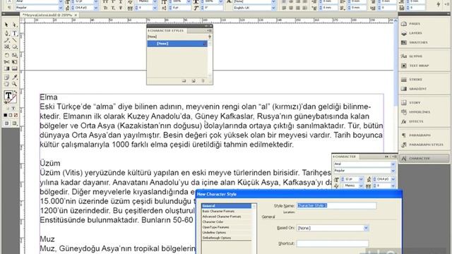 Adobe Indesign CS4 6. Bölüm Metinlerle Çalışmak ( Karakter Stilleri ) смотреть онлайн