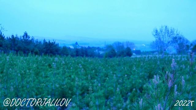 Природа санатория " ТОЗА ХАВО" смотреть онлайн