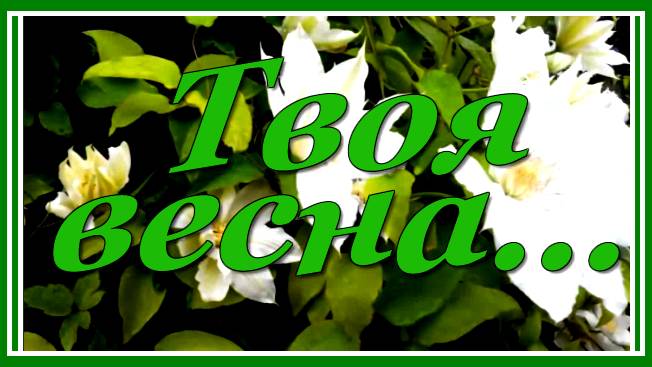 Твоя весна... 💗 Лучшие мелодии Сергея Чекалина! Послушайте! смотреть онлайн