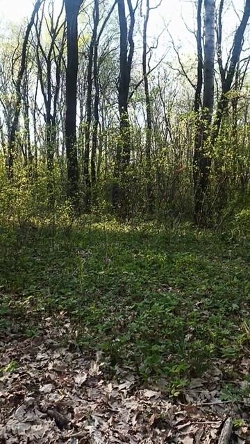 просто такое вот утро у жизни сегодня , мир пробудись от сна 🤗 #nature #осознание #релакс