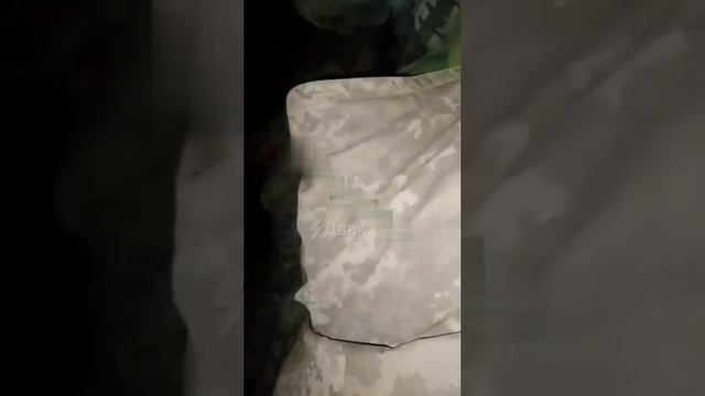 Захватили в плен группу украинских солдат смотреть онлайн