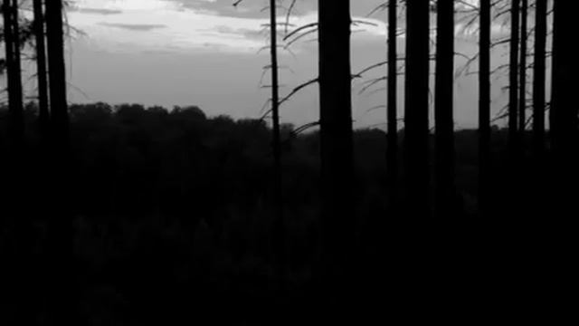 Секретные ключи смотреть онлайн