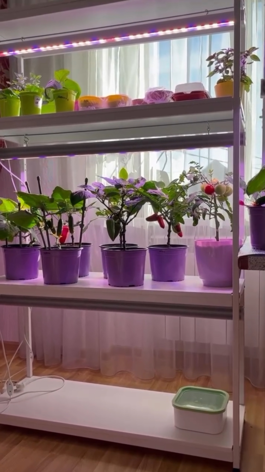 Ещё один стеллаж никогда не бывает лишним ✅ смотреть онлайн