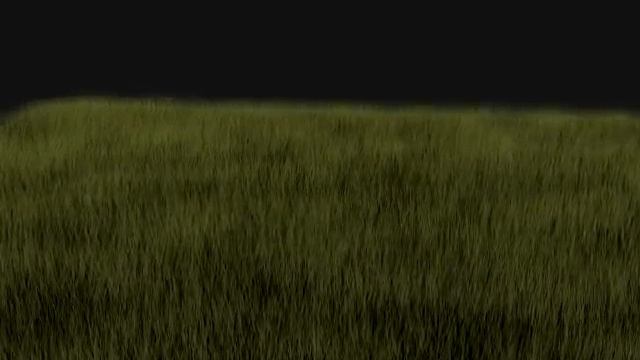 grass.avi смотреть онлайн