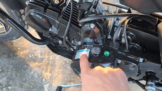 ROLYZ VERTIGO XL 50/124