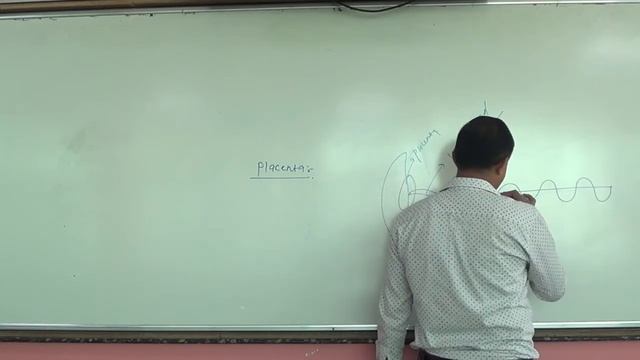 NEET Biology| Embryology |Lecture 12| Dr SS Sir| MVA Burhanpur смотреть онлайн