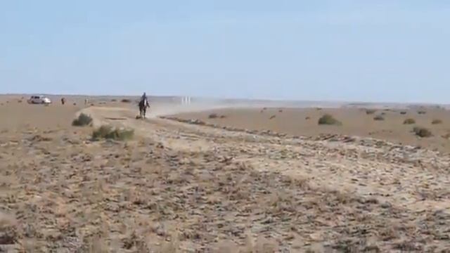 Басбатыр жұйрік, Тараз қаласы смотреть онлайн
