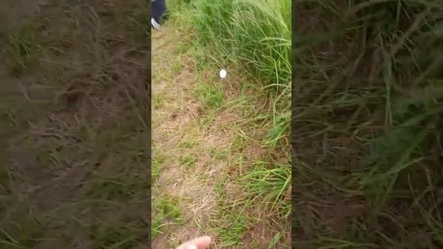 Ловля карася смотреть онлайн