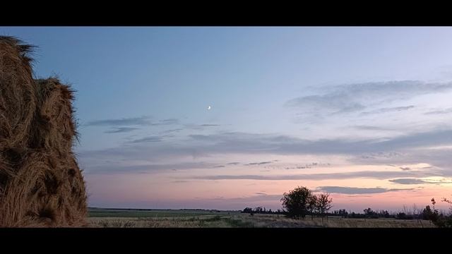 39 Горбунова Д.С. Павловка смотреть онлайн