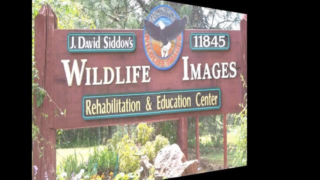 Who Is Ann Southcombe?