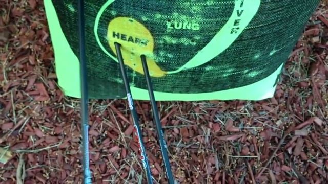 PSE X-FORCE DNA BOW REVIEW смотреть онлайн