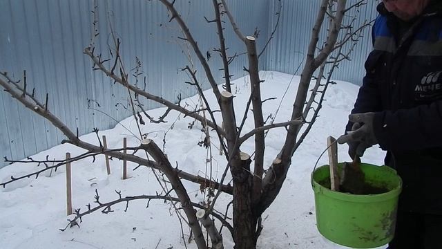 Обрезка по совету в конце февраля смотреть онлайн